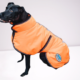 dog jackets lowres 3252 removebg preview 2