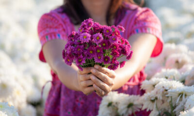 flowers