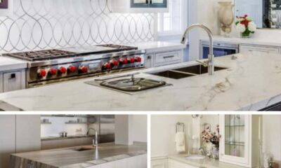 Pros and cons of white marble countertops