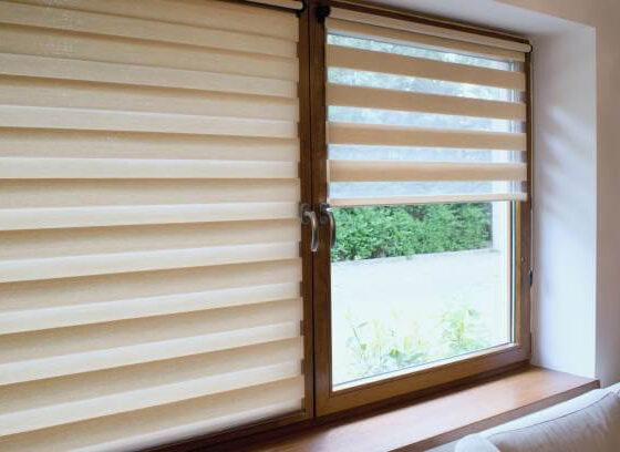 Choose day night blinds