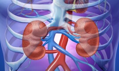 What Are The Conditions Of Nephrologists?