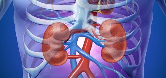 What Are The Conditions Of Nephrologists?