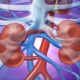 What Are The Conditions Of Nephrologists?