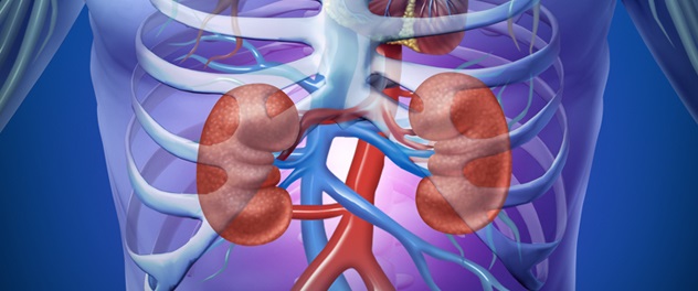 What Are The Conditions Of Nephrologists?