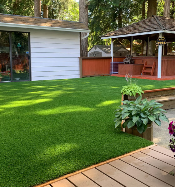 Buy Turf From Professional Landscapers Ensures Attractive Lawns