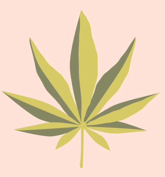 Cannabis For The Menstrual Cycle