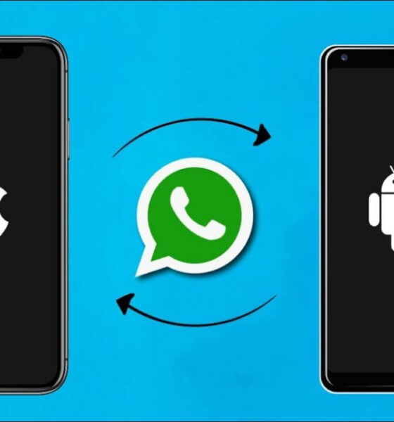 Whatsapp Chat Transfer