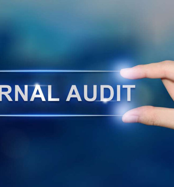 Why is Internal Audit a Viable Option for Manufacturing Firms