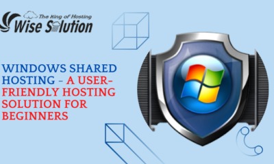 Windows Shared Hosting - A user Friendly hosting solution for beginners