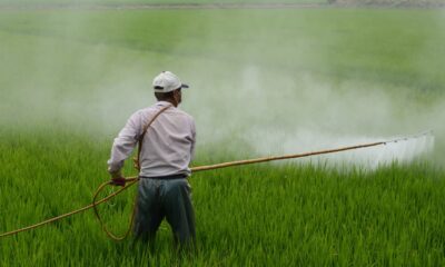 Common and Absurd Pesticide Myths