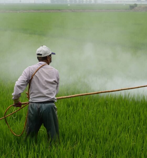 Common and Absurd Pesticide Myths