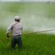 Common and Absurd Pesticide Myths