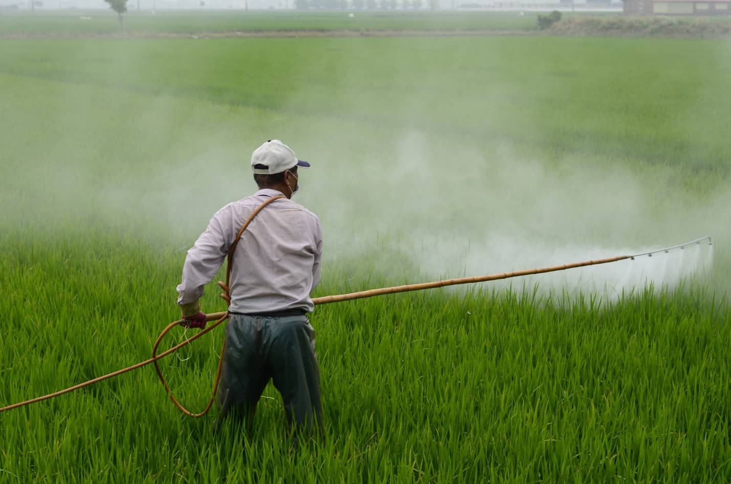Common and Absurd Pesticide Myths