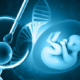 What Is IVF Treatment