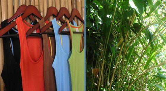Advantage of Bamboo Women's Clothing