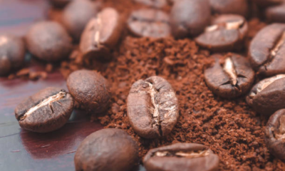 Guide to Roasting Robusta Coffee