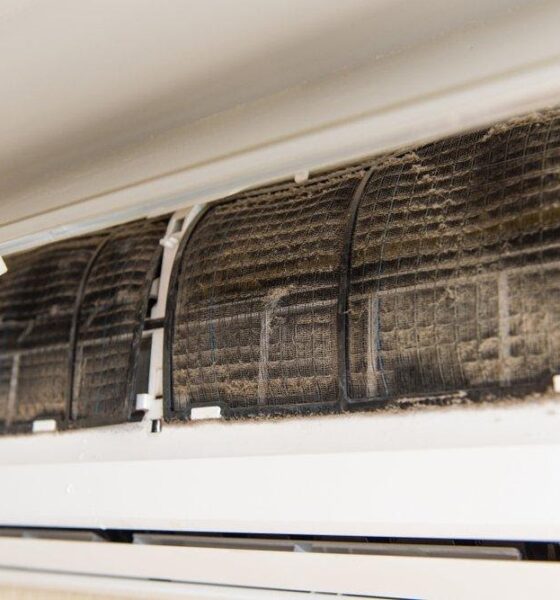 Prevent Mold Growth in Your HVAC System