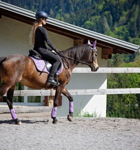 Horseback Riding Lessons