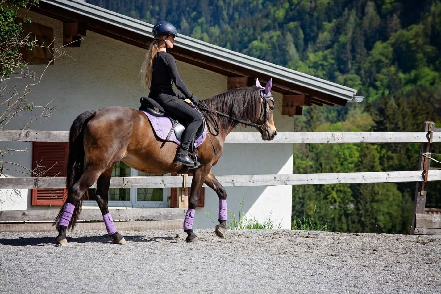 Horseback Riding Lessons