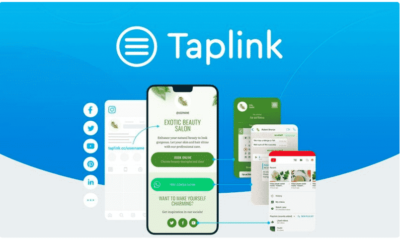 Why Taplink.at Is The Perfect Platform For Everyone