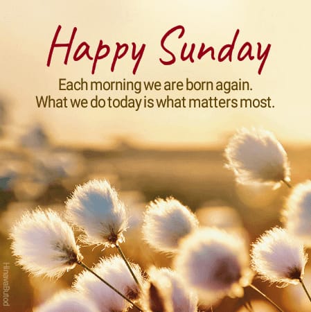 best Sunday Motivational Quotes