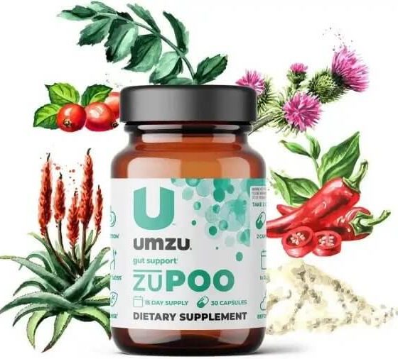 ZuPOO Review