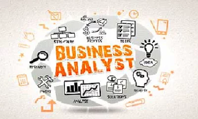 business analyst