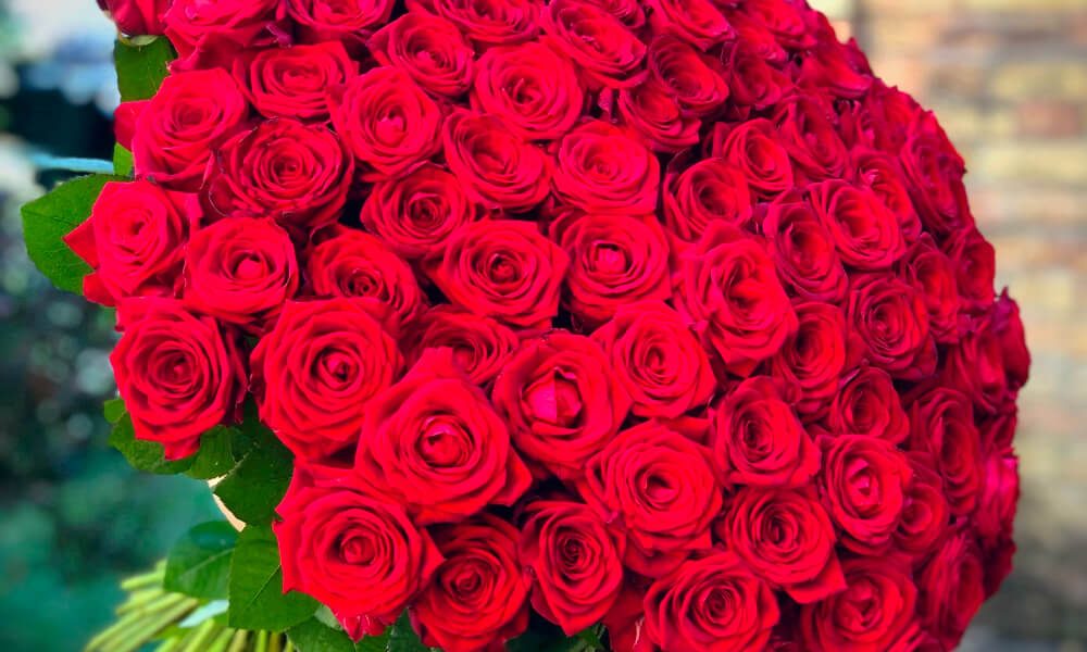 Luxury Flower What Are the Most Expensive Flower in the World? Chatonic