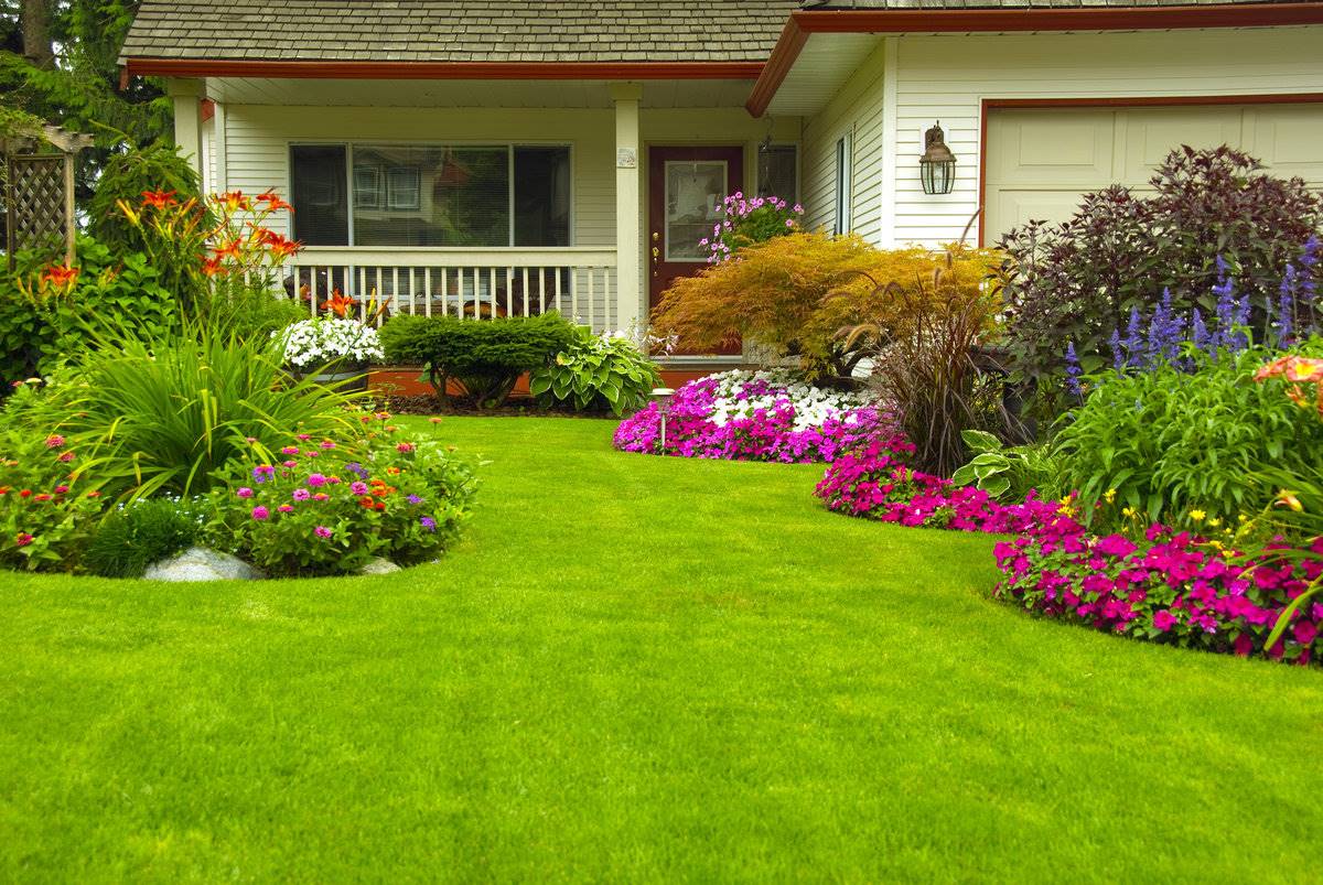 landscaping your dream garden