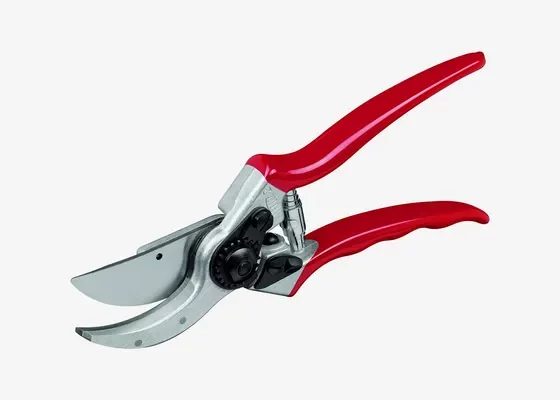 buying the garden shears