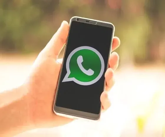 India Whatsapp Indiatrivedibloomberg