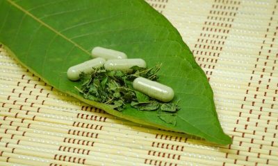 Kratom for pain relief