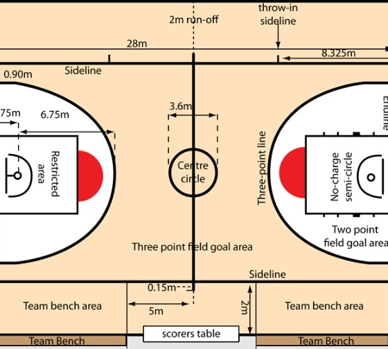 Court Dimensions