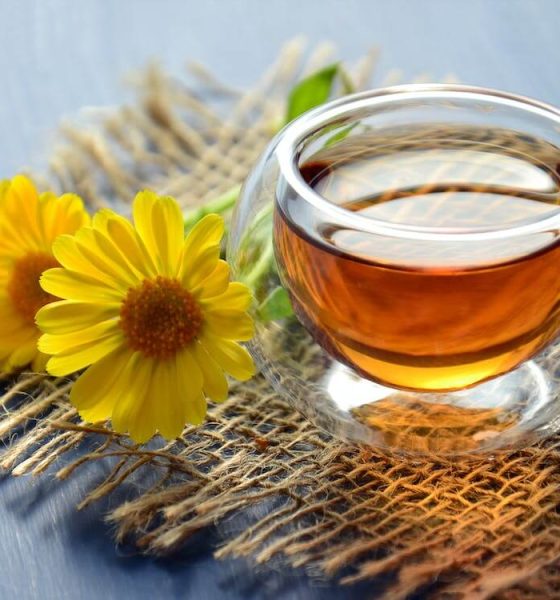 Wellhealthorganic.com:5-herbal-teas-you-can-consume-to-get-relief-from-bloating-and-gas