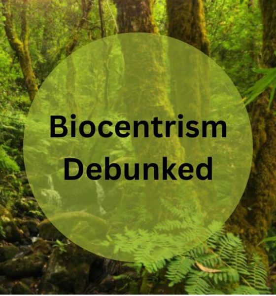 Debunking Biocentrism