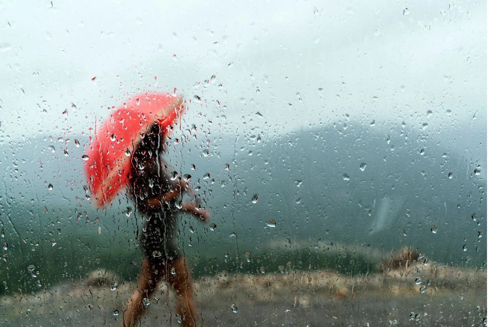 Em Dem Troi Nguyen Si Kha • Rainy Day Memories • 2023