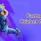 The Role of Player Form in Fantasy Cricket Success 