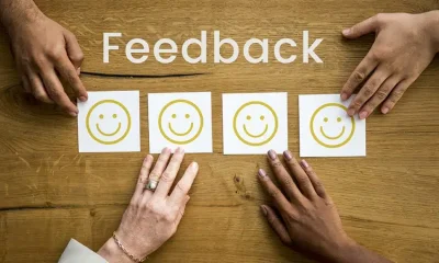 Enhancing Team Productivity through Effective Feedback